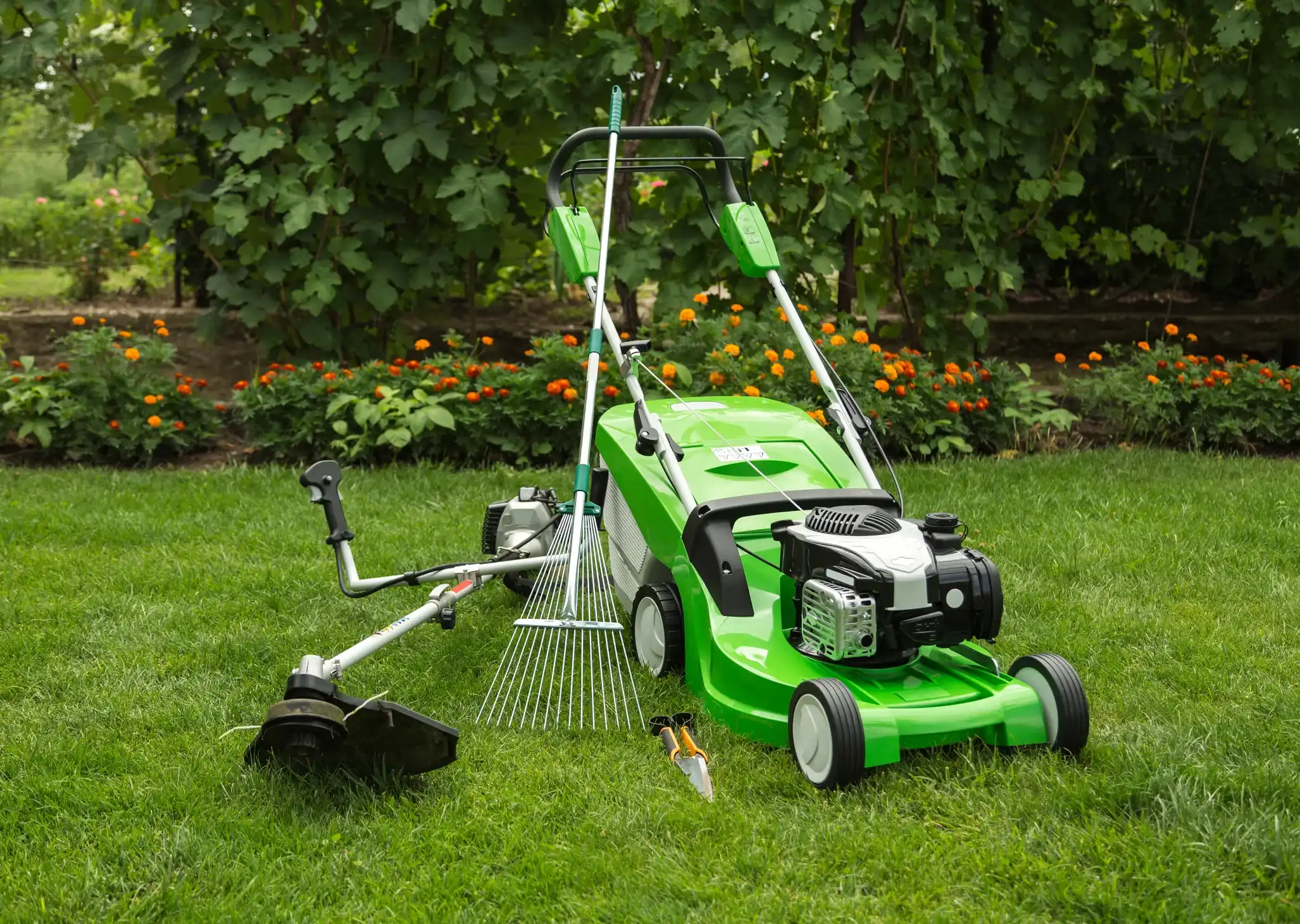 Landscape Services Landscaping
