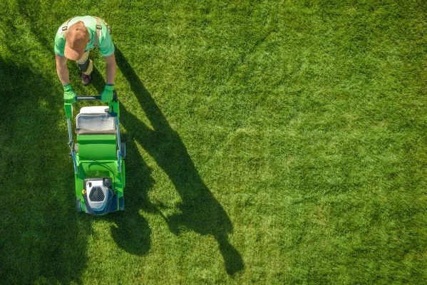 Lawn Care Services Lawn Care Services