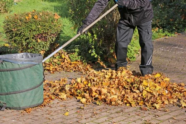 Yard Cleaning Service Yard Cleaning Service