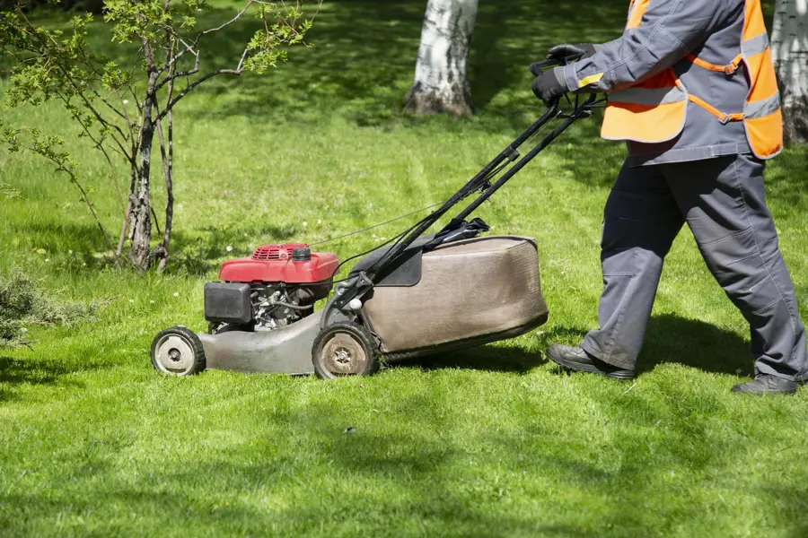 How To Maintain A Yard Homestead, FL