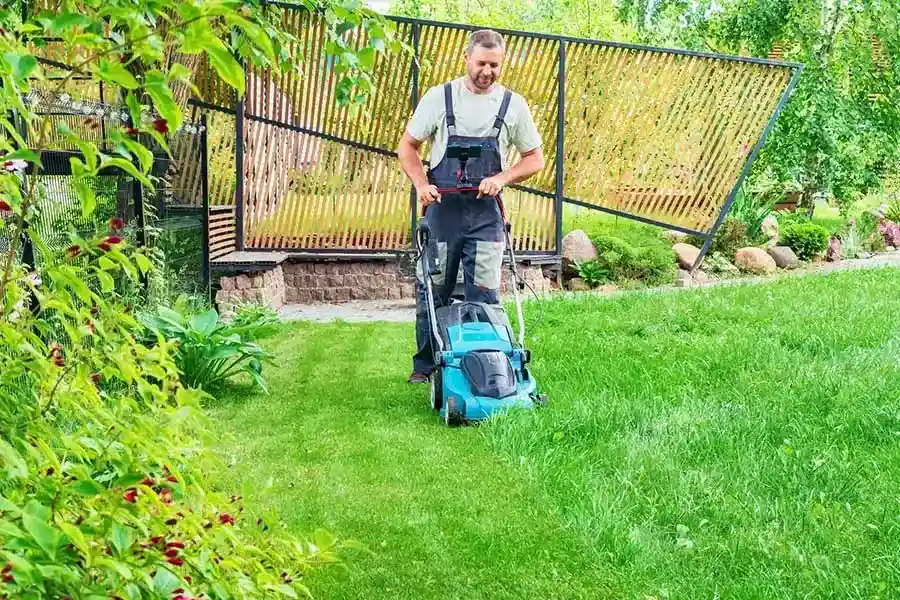 Lawn Care Ideas Homestead, FL