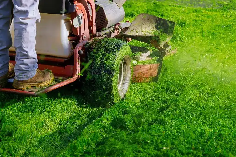 Lawn Care Ideas in Homestead, FL