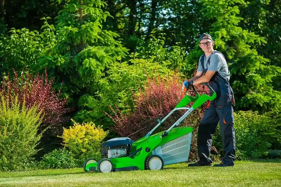 Professional Lawn Care Services Homestead, FL