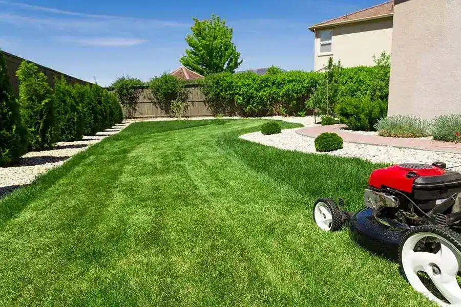 Reliable Lawn Care Services in Homestead, FL