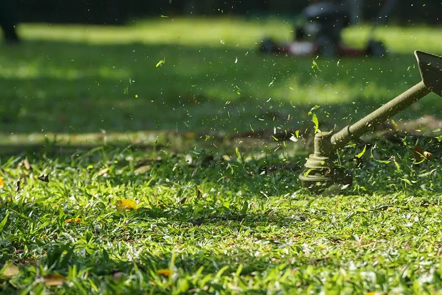 Dependable Lawn Care Services in Homestead, FL