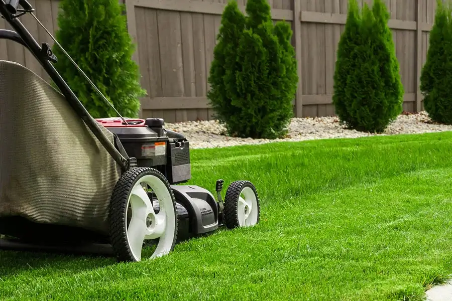 Lawn Care Tips Homestead, FL
