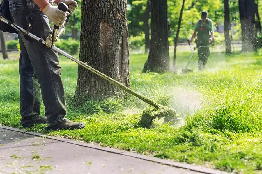 Lawn Care Tips in Homestead, FL