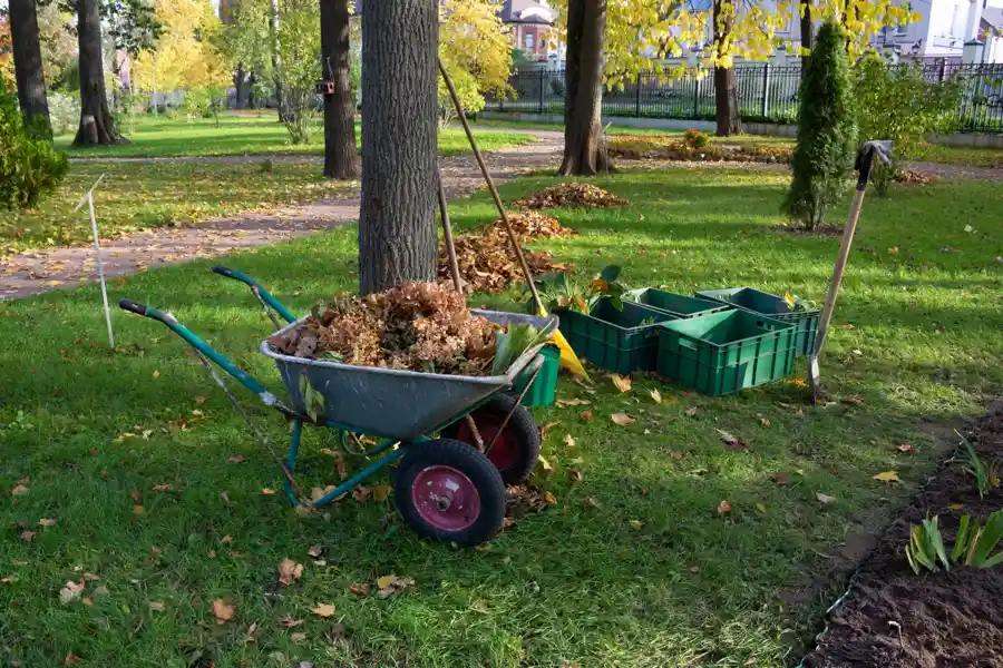 What Does A Yard Clean-Up Consist Of Homestead, FL