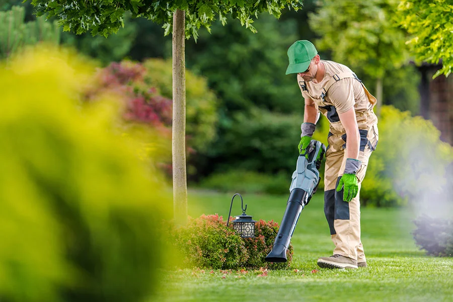 What Does A Yard Clean-Up Consist Of in Homestead, FL