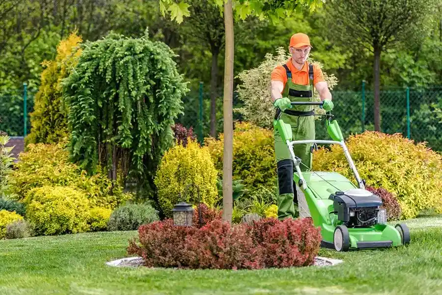 Professional Yard Cleaning Services Homestead, FL