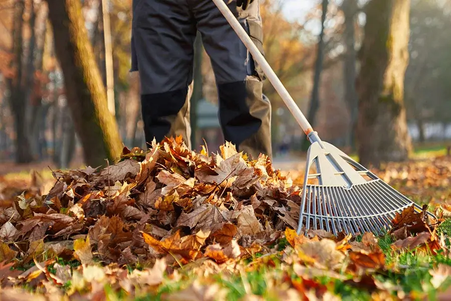 Reliable Yard Cleaning Services in Homestead, FL
